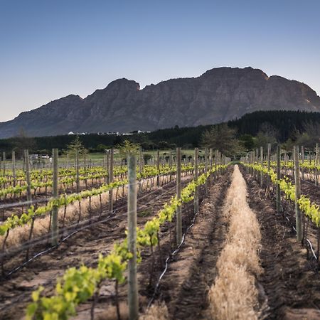 Lanzerac Hotel & Spa Stellenbosch Luaran gambar