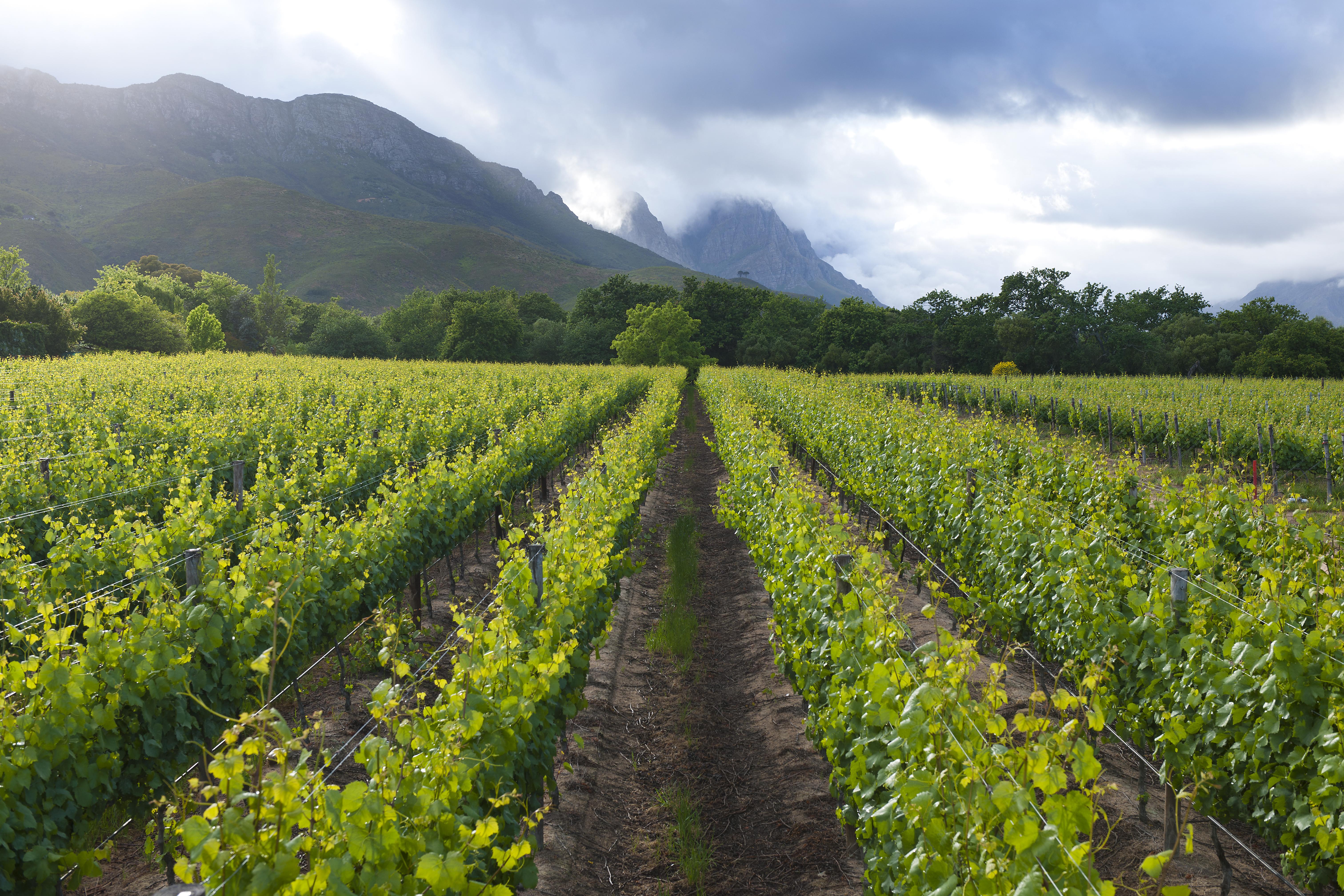 Lanzerac Hotel & Spa Stellenbosch Luaran gambar