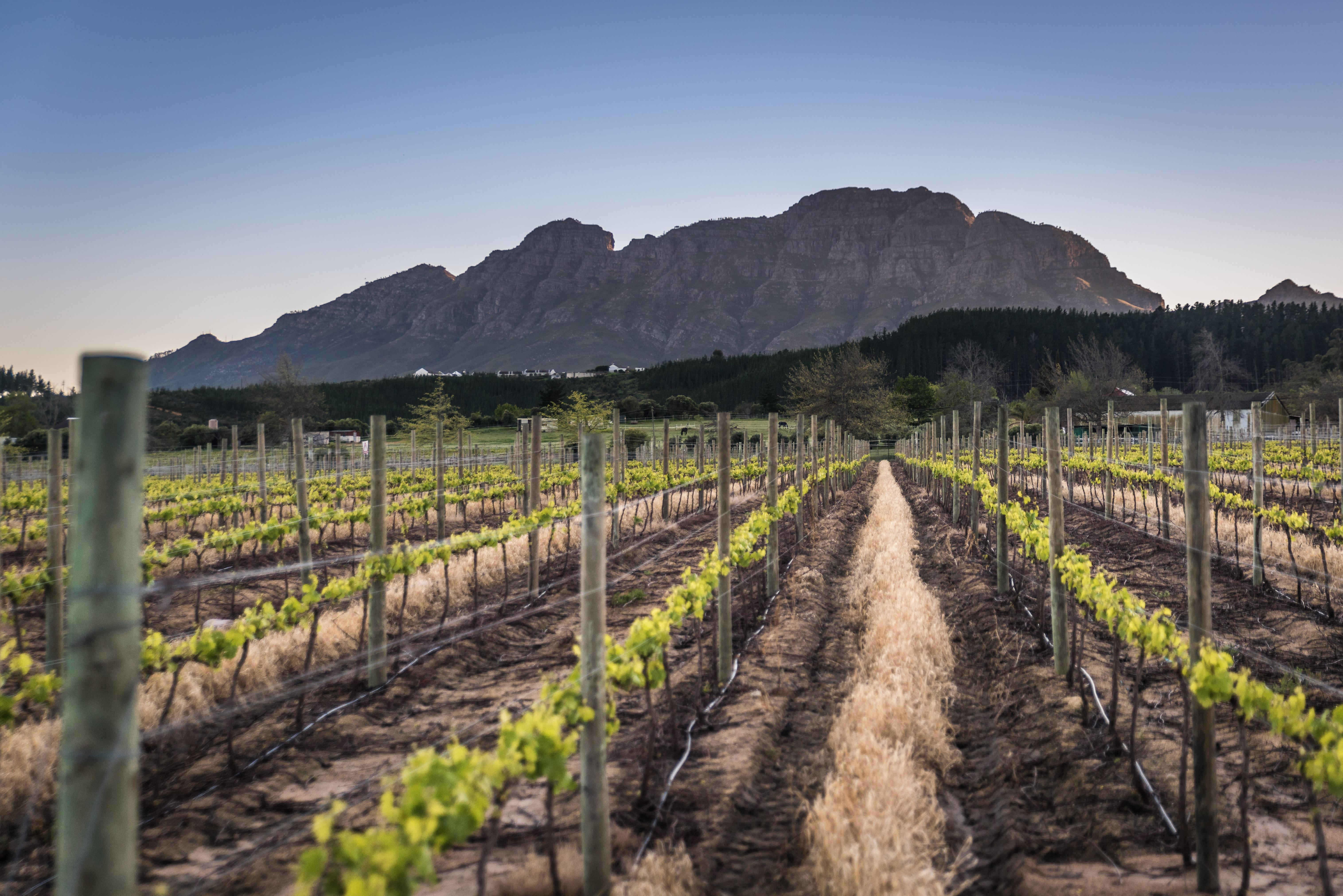 Lanzerac Hotel & Spa Stellenbosch Luaran gambar