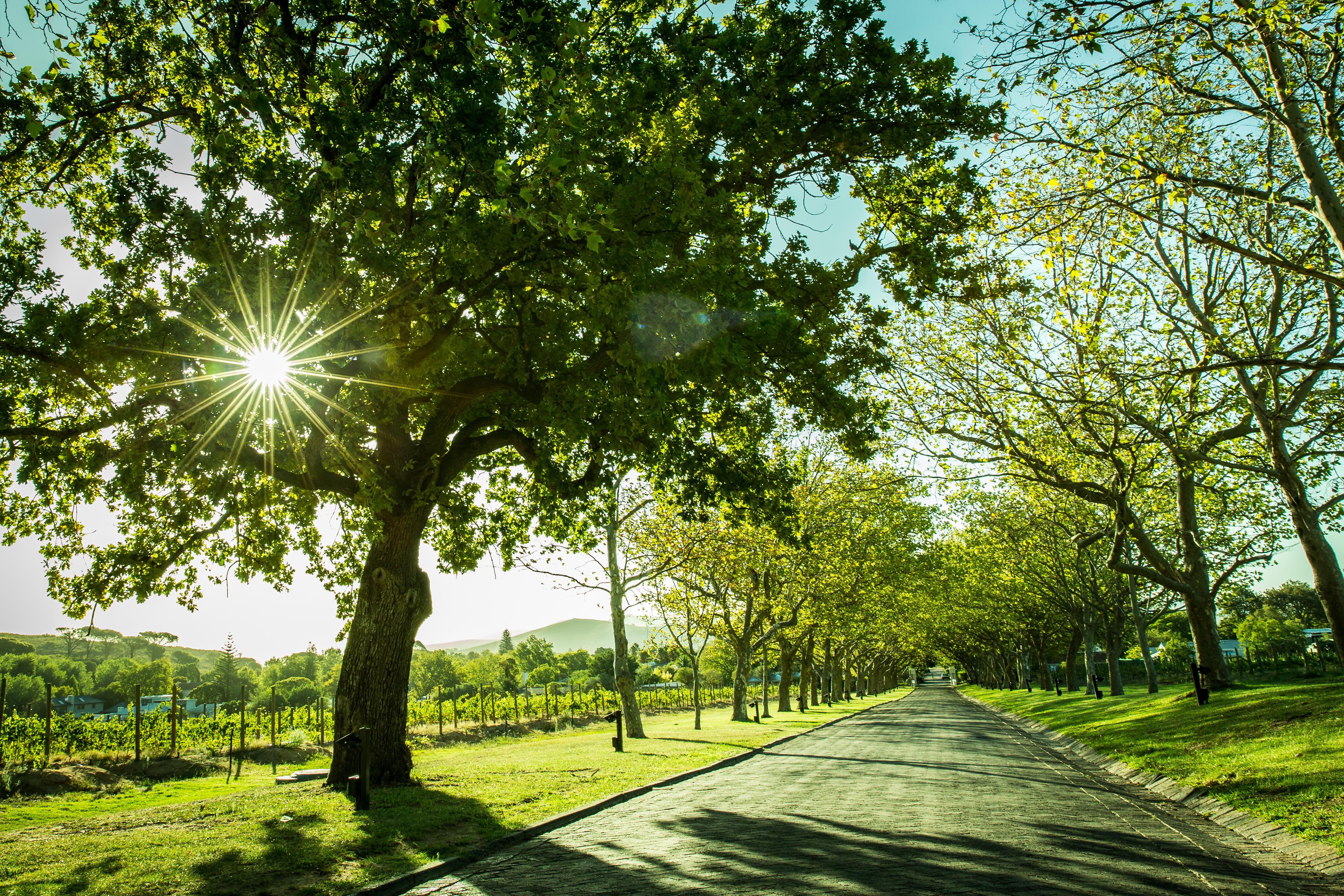 Lanzerac Hotel & Spa Stellenbosch Luaran gambar